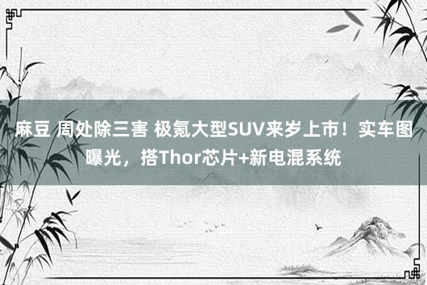麻豆 周处除三害 极氪大型SUV来岁上市！实车图曝光，搭Thor芯片+新电混系统