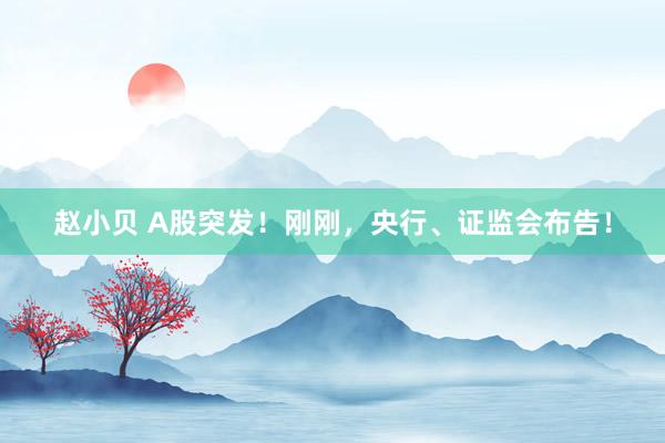 赵小贝 A股突发！刚刚，央行、证监会布告！