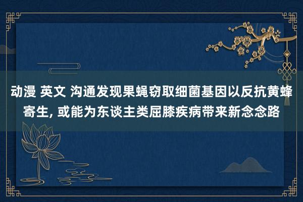 动漫 英文 沟通发现果蝇窃取细菌基因以反抗黄蜂寄生， 或能为东谈主类屈膝疾病带来新念念路