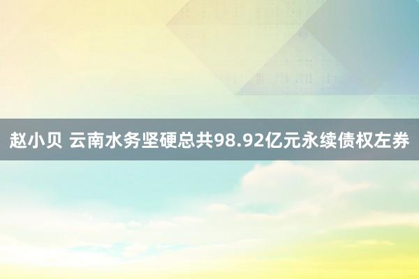 赵小贝 云南水务坚硬总共98.92亿元永续债权左券