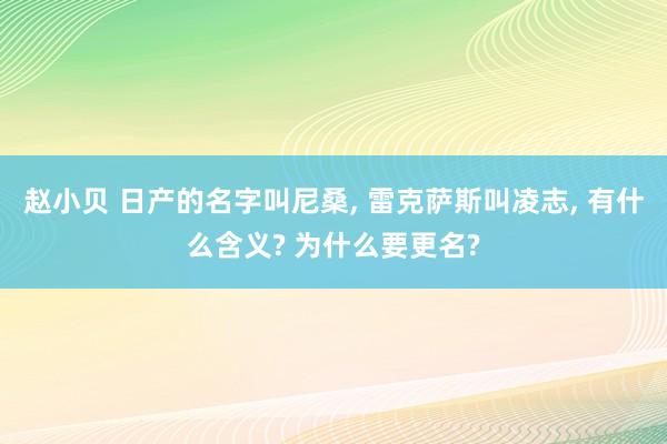 赵小贝 日产的名字叫尼桑， 雷克萨斯叫凌志， 有什么含义? 为什么要更名?
