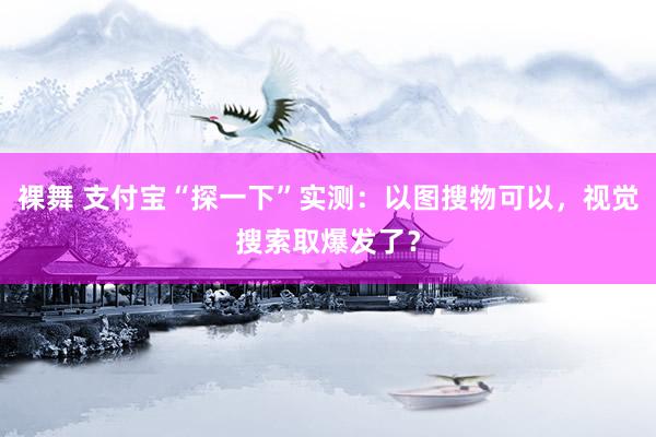 裸舞 支付宝“探一下”实测：以图搜物可以，视觉搜索取爆发了？