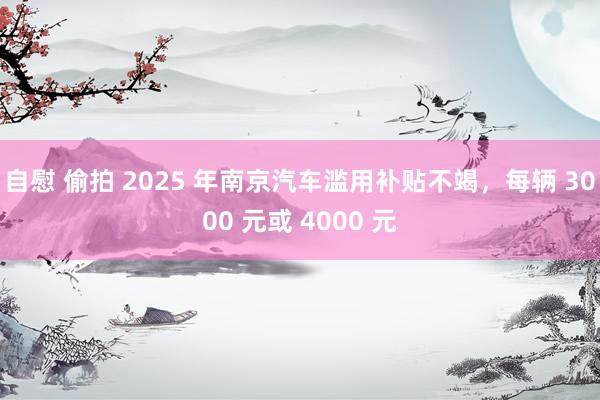 自慰 偷拍 2025 年南京汽车滥用补贴不竭，每辆 3000 元或 4000 元