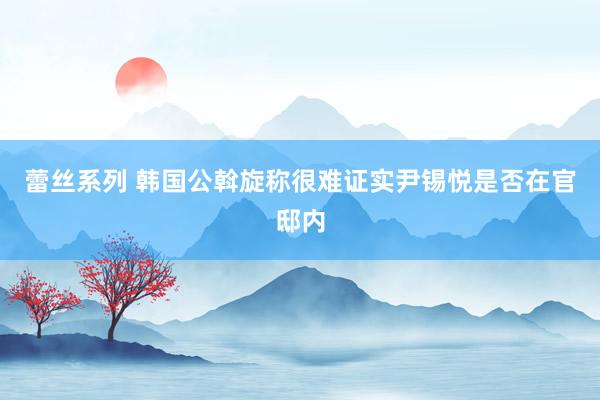 蕾丝系列 韩国公斡旋称很难证实尹锡悦是否在官邸内