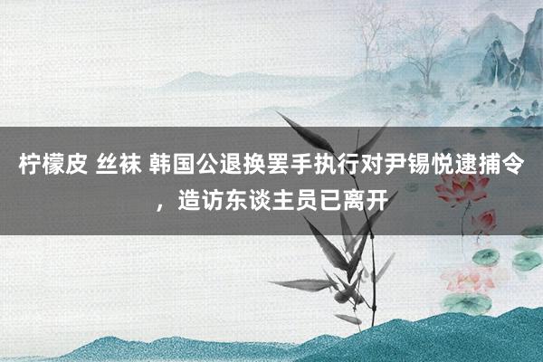 柠檬皮 丝袜 韩国公退换罢手执行对尹锡悦逮捕令，造访东谈主员已离开