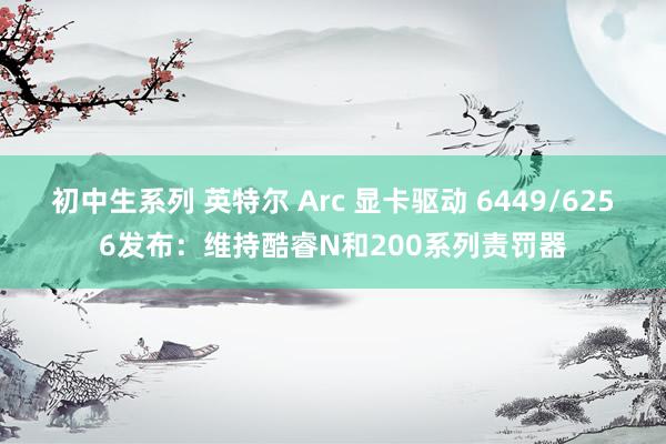 初中生系列 英特尔 Arc 显卡驱动 6449/6256发布：维持酷睿N和200系列责罚器