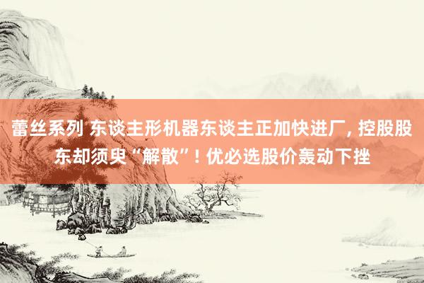 蕾丝系列 东谈主形机器东谈主正加快进厂， 控股股东却须臾“解散”! 优必选股价轰动下挫