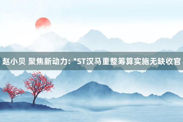 赵小贝 聚焦新动力: *ST汉马重整筹算实施无缺收官
