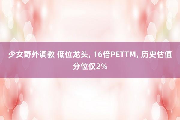 少女野外调教 低位龙头， 16倍PETTM， 历史估值分位仅2%