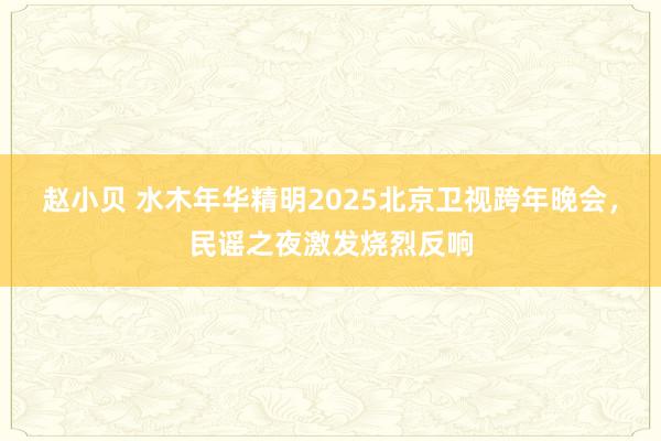 赵小贝 水木年华精明2025北京卫视跨年晚会，民谣之夜激发烧烈反响
