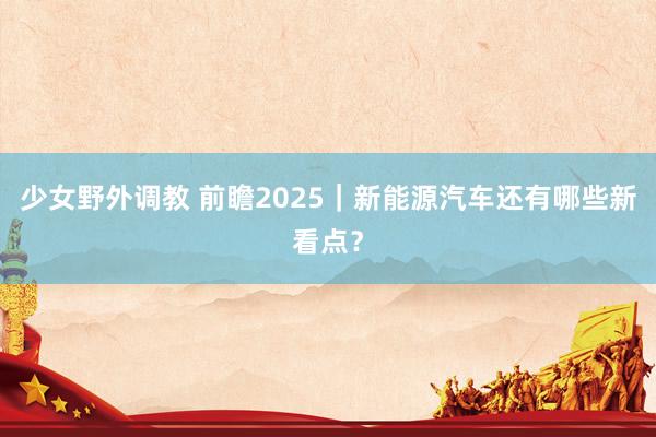 少女野外调教 前瞻2025｜新能源汽车还有哪些新看点？