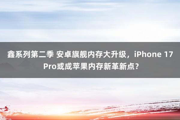 鑫系列第二季 安卓旗舰内存大升级，iPhone 17 Pro或成苹果内存新革新点？
