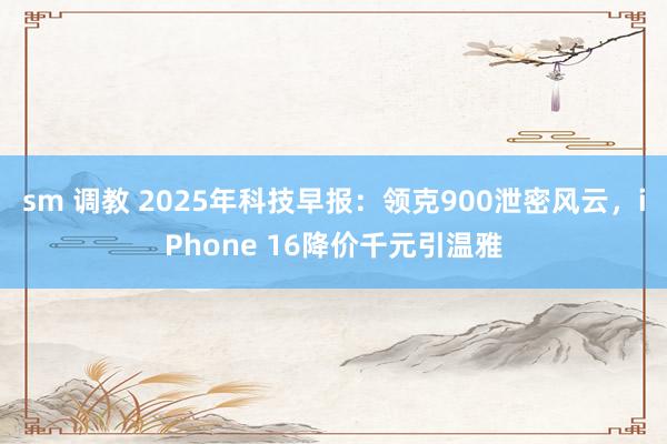 sm 调教 2025年科技早报：领克900泄密风云，iPhone 16降价千元引温雅