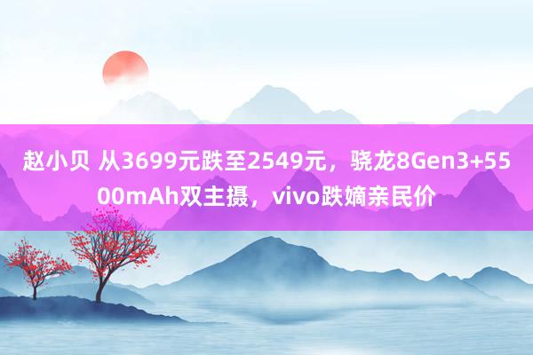 赵小贝 从3699元跌至2549元，骁龙8Gen3+5500mAh双主摄，vivo跌嫡亲民价