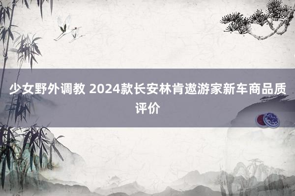 少女野外调教 2024款长安林肯遨游家新车商品质评价
