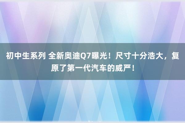 初中生系列 全新奥迪Q7曝光！尺寸十分浩大，复原了第一代汽车的威严！