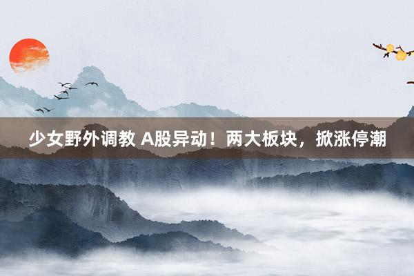 少女野外调教 A股异动！两大板块，掀涨停潮