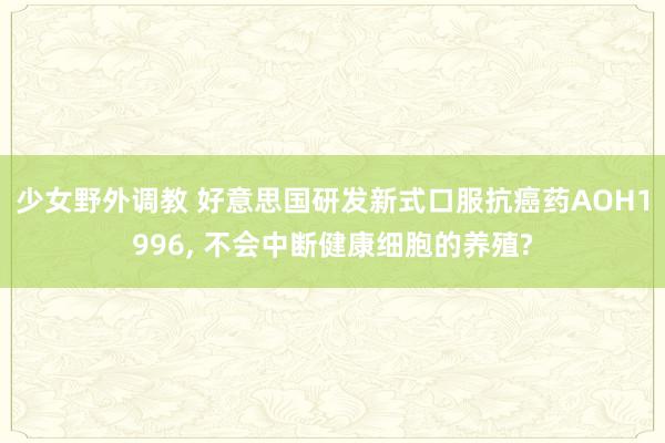 少女野外调教 好意思国研发新式口服抗癌药AOH1996， 不会中断健康细胞的养殖?