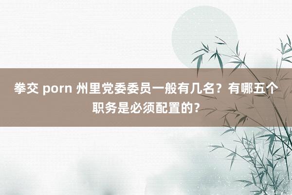 拳交 porn 州里党委委员一般有几名？有哪五个职务是必须配置的？
