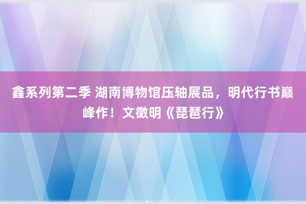 鑫系列第二季 湖南博物馆压轴展品，明代行书巅峰作！文徵明《琵琶行》