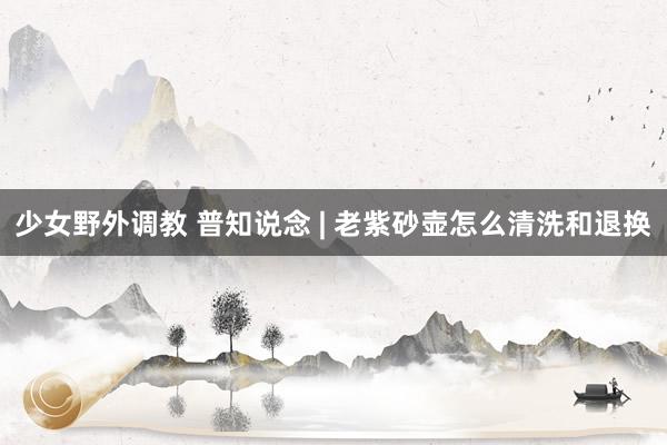 少女野外调教 普知说念 | 老紫砂壶怎么清洗和退换