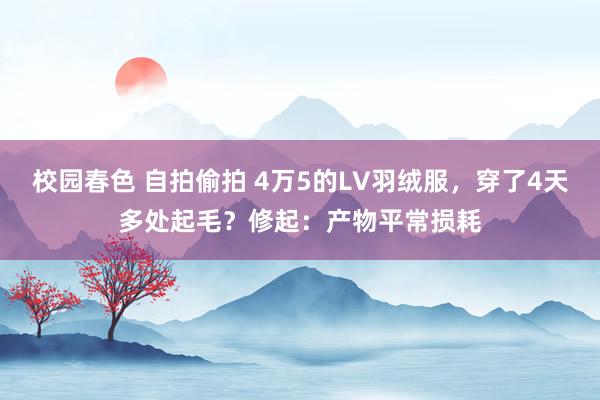 校园春色 自拍偷拍 4万5的LV羽绒服，穿了4天多处起毛？修起：产物平常损耗