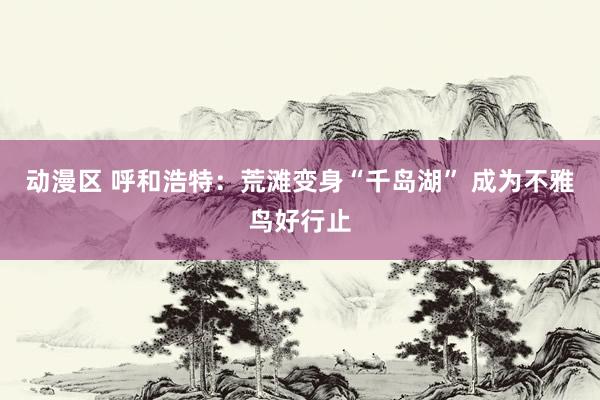 动漫区 呼和浩特：荒滩变身“千岛湖” 成为不雅鸟好行止