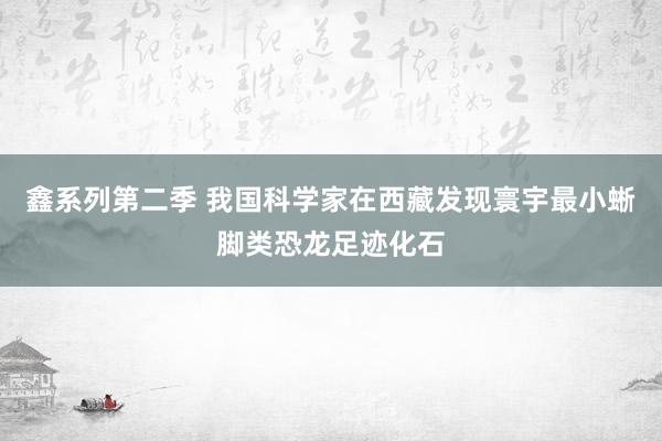鑫系列第二季 我国科学家在西藏发现寰宇最小蜥脚类恐龙足迹化石