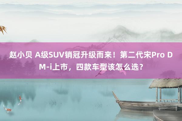 赵小贝 A级SUV销冠升级而来！第二代宋Pro DM-i上市，四款车型该怎么选？