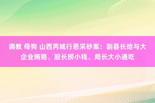 调教 母狗 山西芮城行恶采砂案：副县长给与大企业贿赂、股长捞小钱、局长大小通吃