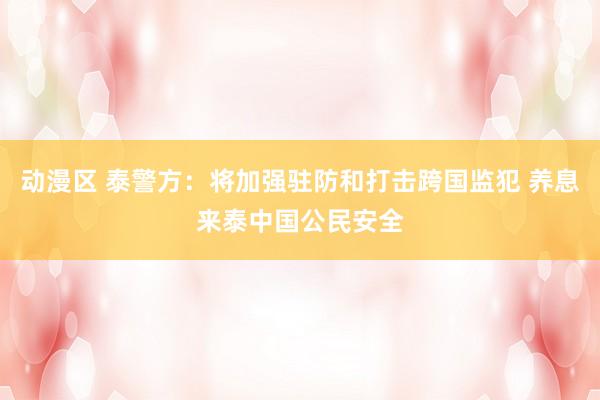 动漫区 泰警方：将加强驻防和打击跨国监犯 养息来泰中国公民安全