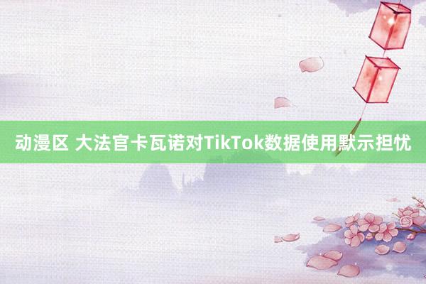 动漫区 大法官卡瓦诺对TikTok数据使用默示担忧