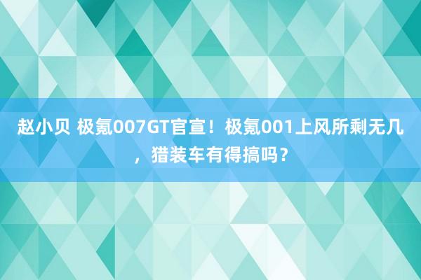 赵小贝 极氪007GT官宣！极氪001上风所剩无几，猎装车有得搞吗？