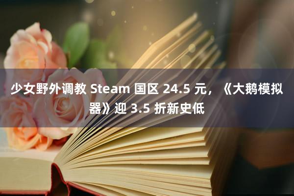 少女野外调教 Steam 国区 24.5 元，《大鹅模拟器》迎 3.5 折新史低