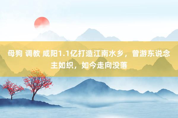 母狗 调教 咸阳1.1亿打造江南水乡，曾游东说念主如织，如今走向没落
