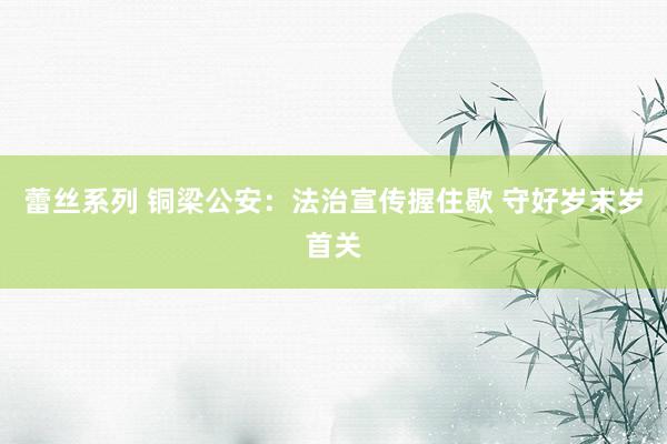 蕾丝系列 铜梁公安：法治宣传握住歇 守好岁末岁首关