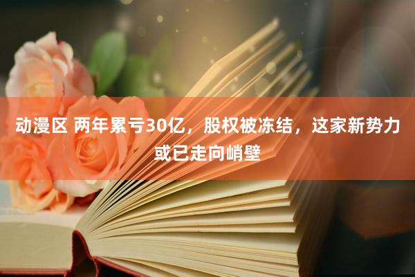 动漫区 两年累亏30亿，股权被冻结，这家新势力或已走向峭壁