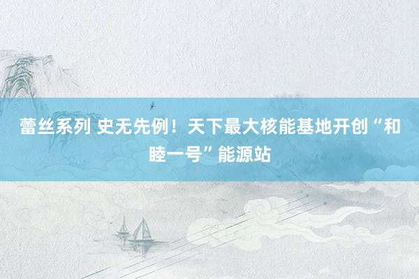 蕾丝系列 史无先例！天下最大核能基地开创“和睦一号”能源站