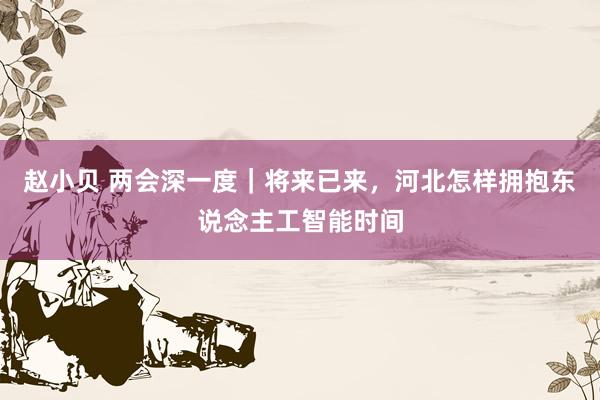 赵小贝 两会深一度|将来已来,河北怎样拥抱东说念主工智能时间