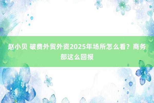 赵小贝 破费外贸外资2025年场所怎么看？商务部这么回报