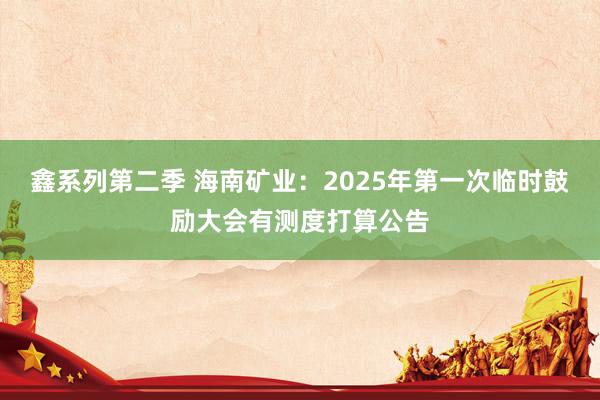 鑫系列第二季 海南矿业：2025年第一次临时鼓励大会有测度打算公告