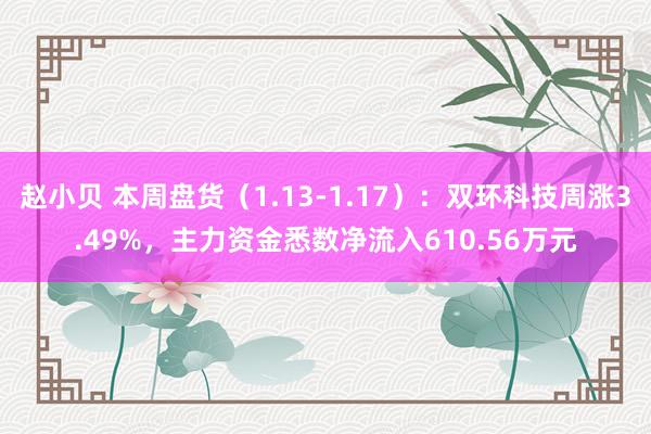 赵小贝 本周盘货（1.13-1.17）：双环科技周涨3.49%，主力资金悉数净流入610.56万元