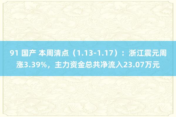 91 国产 本周清点（1.13-1.17）：浙江震元周涨3.39%，主力资金总共净流入23.07万元