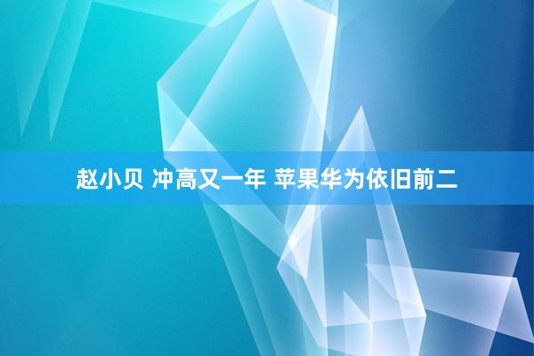 赵小贝 冲高又一年 苹果华为依旧前二