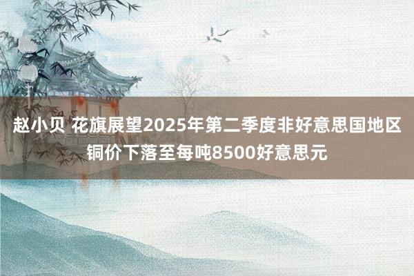 赵小贝 花旗展望2025年第二季度非好意思国地区铜价下落至每吨8500好意思元