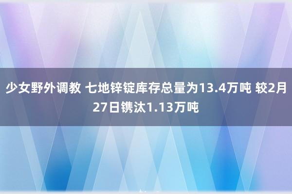 少女野外调教 七地锌锭库存总量为13.4万吨 较2月27日镌汰1.13万吨
