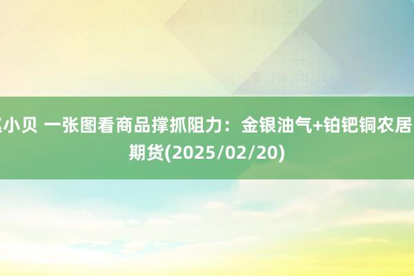 赵小贝 一张图看商品撑抓阻力：金银油气+铂钯铜农居品期货(2025/02/20)