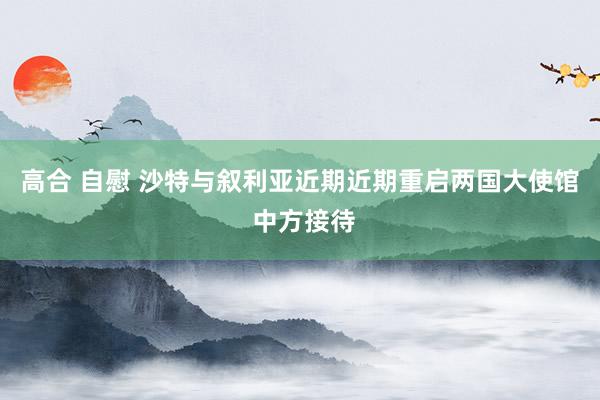 高合 自慰 沙特与叙利亚近期近期重启两国大使馆 中方接待
