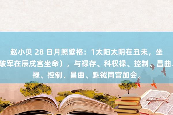 赵小贝 28 日月照壁格：1太阳太阴在丑未，坐田宅宫（此必为破军在辰戌宫坐命），与禄存、科权禄、控制、昌曲、魁钺同宫加会。