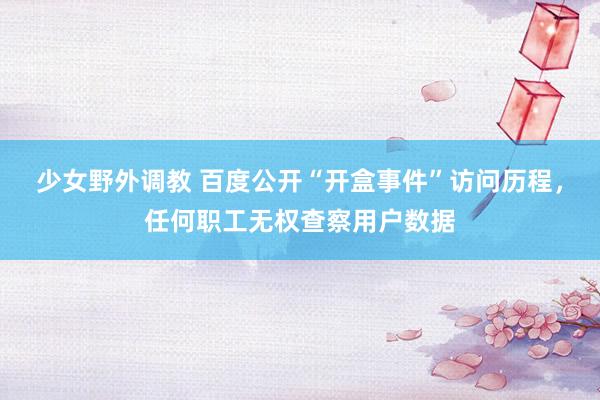 少女野外调教 百度公开“开盒事件”访问历程，任何职工无权查察用户数据